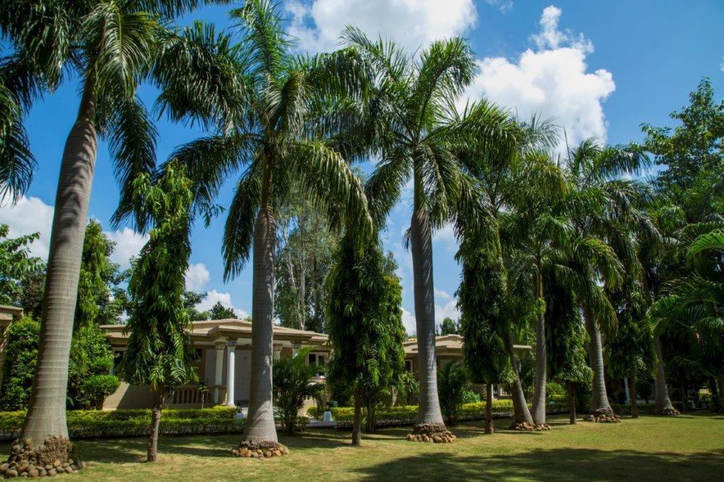 Tiger'S Den Resort Bandhavgarh National Park Eksteriør billede